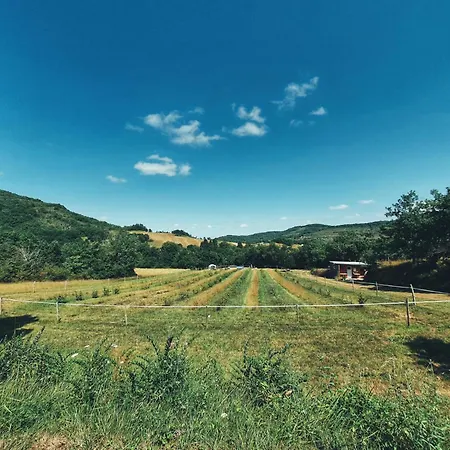 Parque de Campismo Des Vignes *