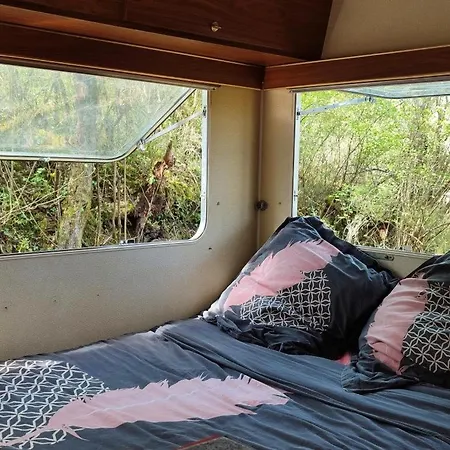 Kamp alanı Des Vignes *