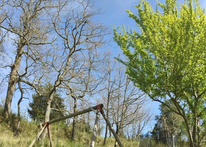 Des Vignes Κάμπινγκ