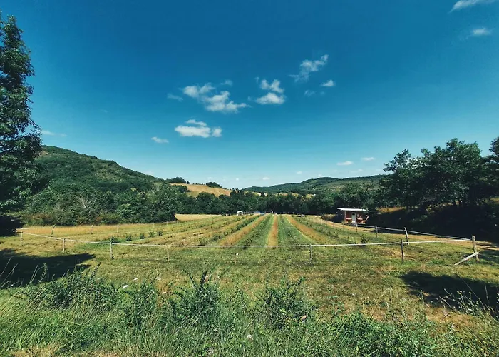 Κάμπινγκ Des Vignes *